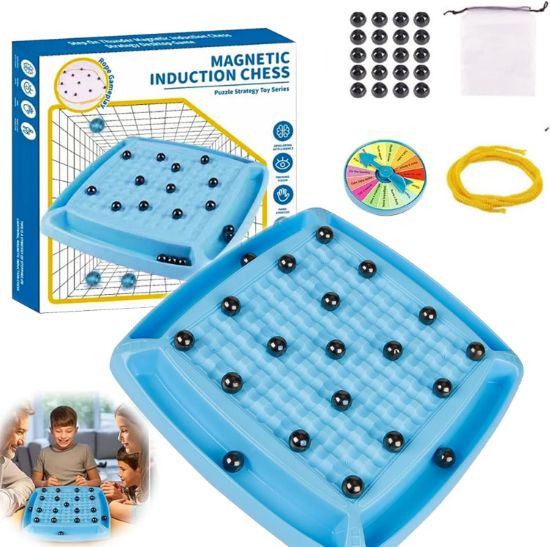 Picture of Magnetic induction game