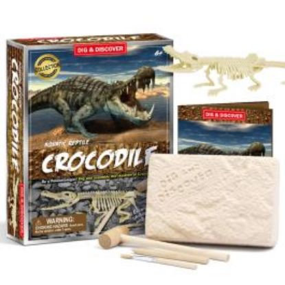 Picture of Crocodile Dig Kits